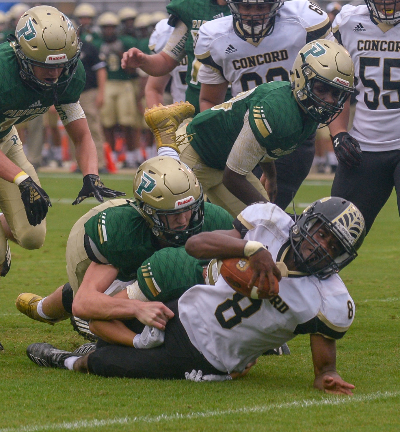 Concord-Pinecrest 3.jpg